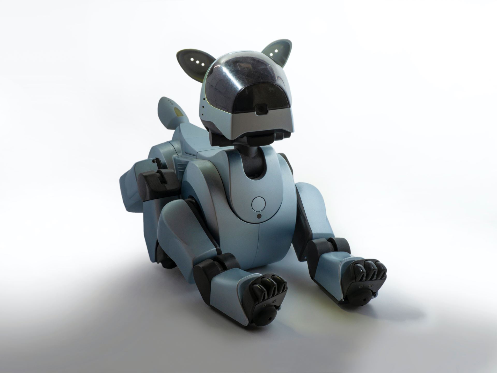 Photo of a robot dog.